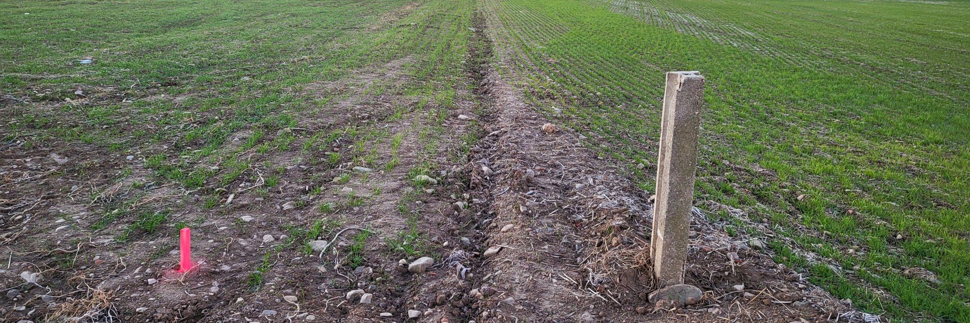 Sombra con topografo con estación teodolito