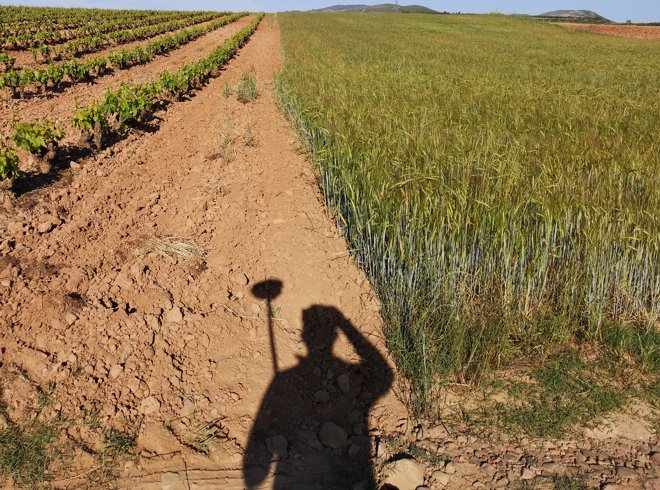 Sombra con topografo con estación teodolito